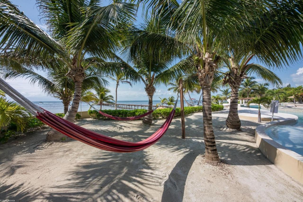 Belizean Cove Estates Luxury Beachfront Villa San Pedro  Zewnętrze zdjęcie